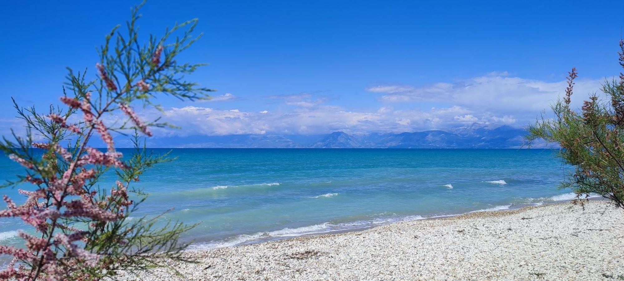 Agapi Studio Acharavi A 50M De La Mer, 400M Du Centre Ville Acharavi (Corfu) Exterior foto